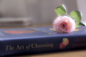 Art of Choosing Book
